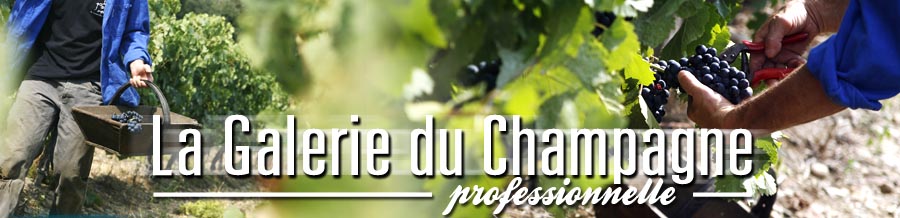 Champagne Info — La Galerie du Champagne, back to home