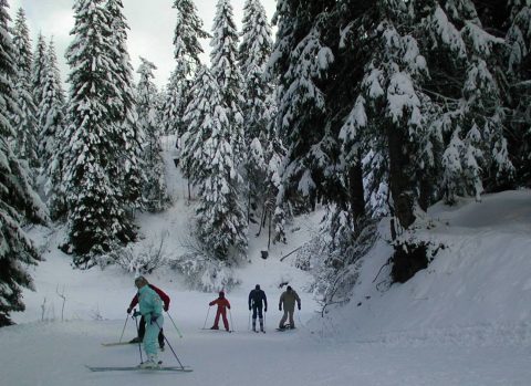 Les pistes