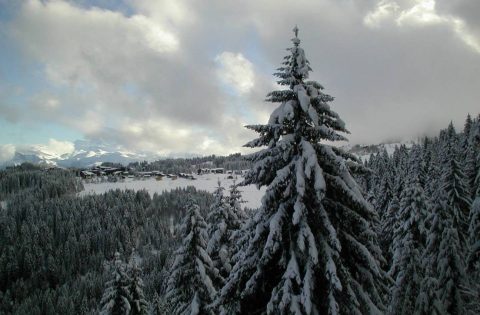 Les pistes
